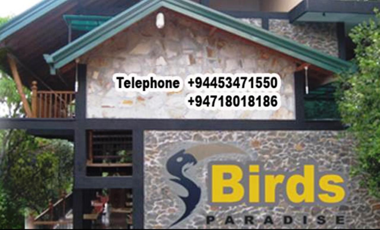Birds Paradise Hotel Kudawe Eksteriør billede
